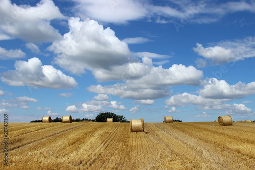 Strohballen auf weitem Feld