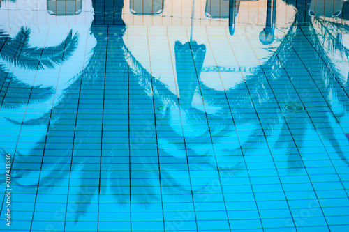 Palm trees reflected in the...