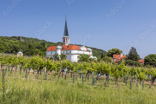 View of Palace, church and vineyards of Gumpoldskirchen (Austria)
