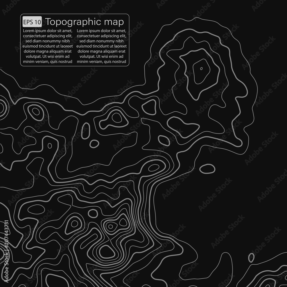 Topographic map. Topographical background. Linear graphics. Vector illustration. Topographic map. Topographical background. Linear graphics. Vector illustration.