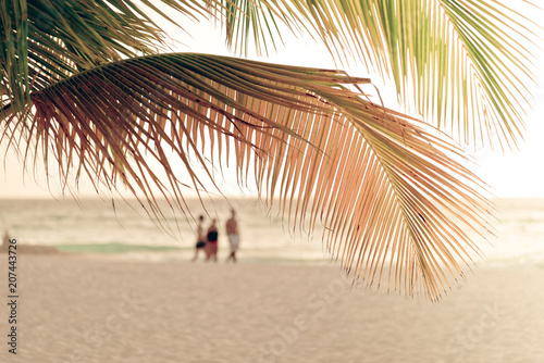 Palms on an idyllic Caribbean beach © Overburn