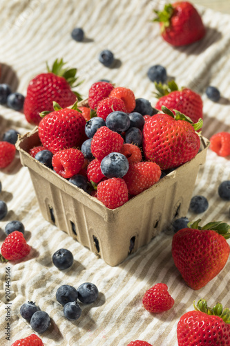 Raw Red Organic Mixed Berries