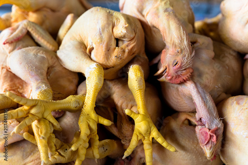 chicken exposed in market © ssviluppo