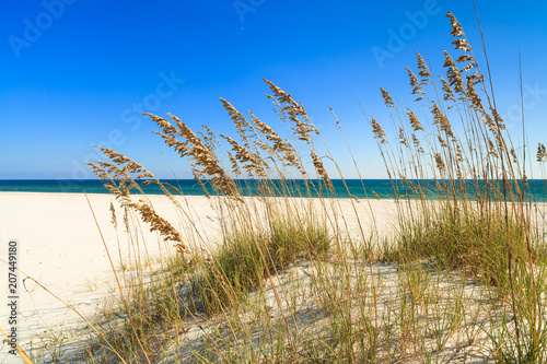 Beautiful Florida panhandle beach photo