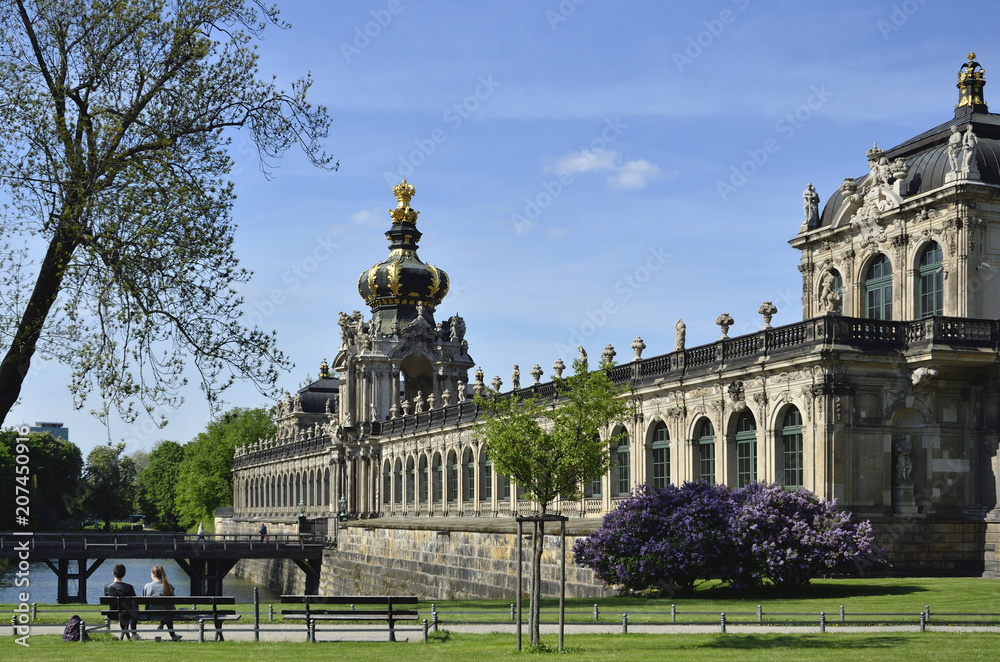 Obraz premium blühender Rhododendron am Zwinger in Dresden