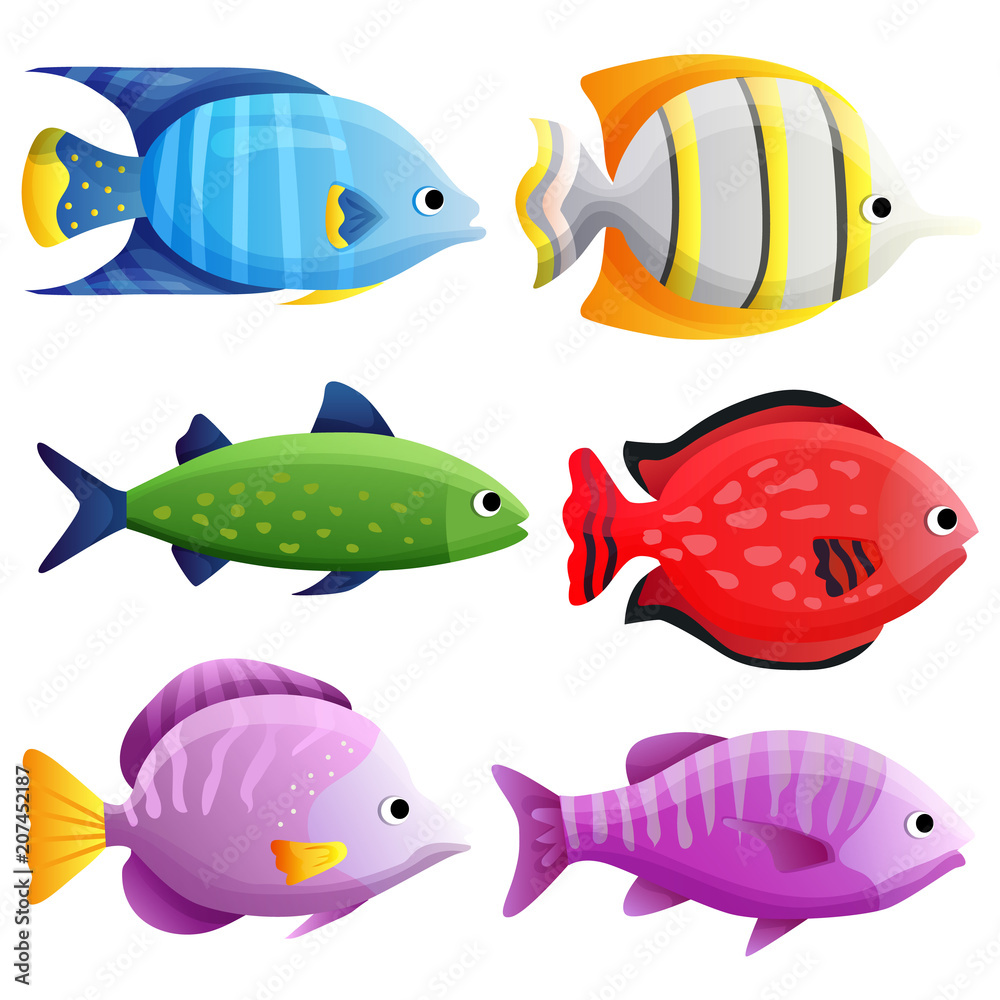 mixed tropical fish ocean set mixed tropical fish ocean set