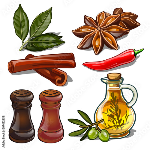 Set of spices isolated on white background. Image of ingredients for a cookbook. Vector illustration.