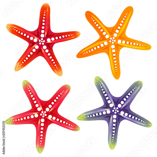 star fish element