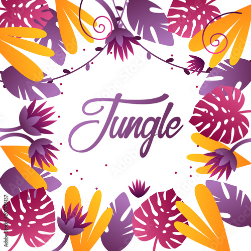 decorative tropical background. jungle. frame. vector illustration