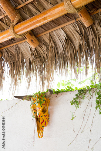 Decor detail of colorful animal head and straw roof in Baja California Sur, Mexico photo