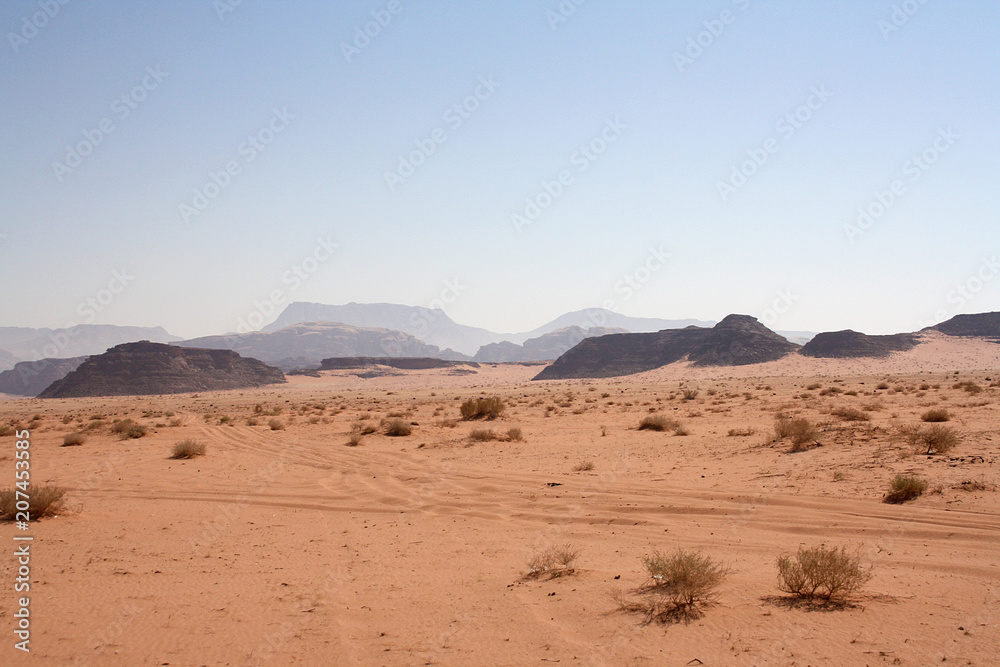Balade dans le Wadi Rum - Jordanie