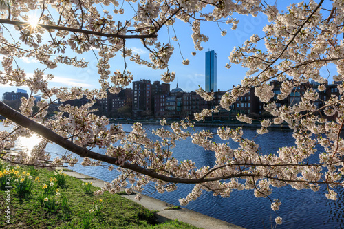 Boston in the Spring