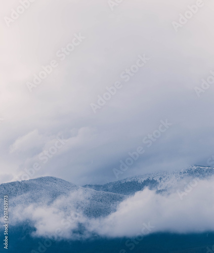 Photo depicting a backdrop foggy mystic pine tree woods in the mountains.