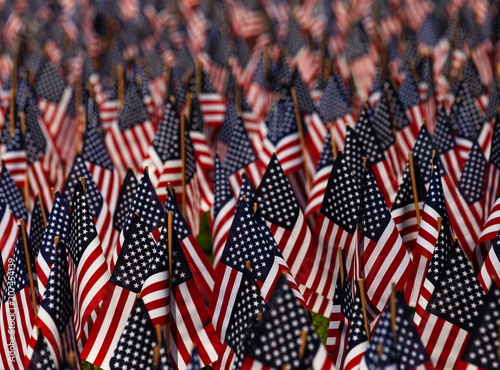 Stars and Stripes Display