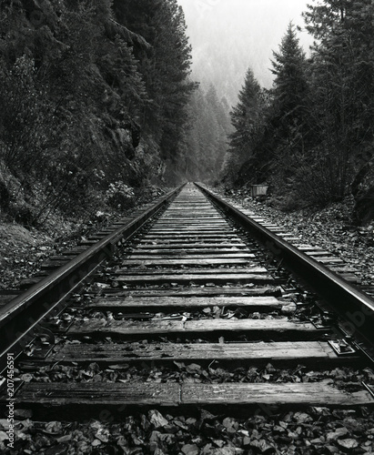 North Idaho Train Tracks photo