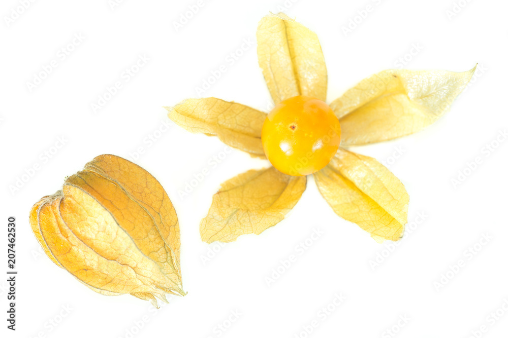 Fototapeta premium physalis fruit / healthy food.