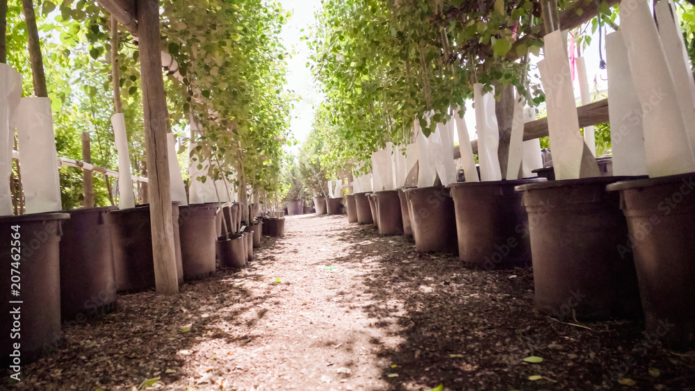 Naklejka premium Garden center