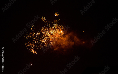 Canvas Print New year fireworks 6