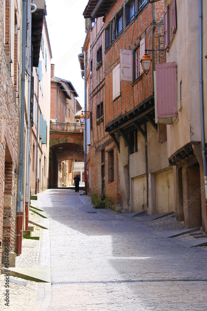 Fototapeta premium ALBI