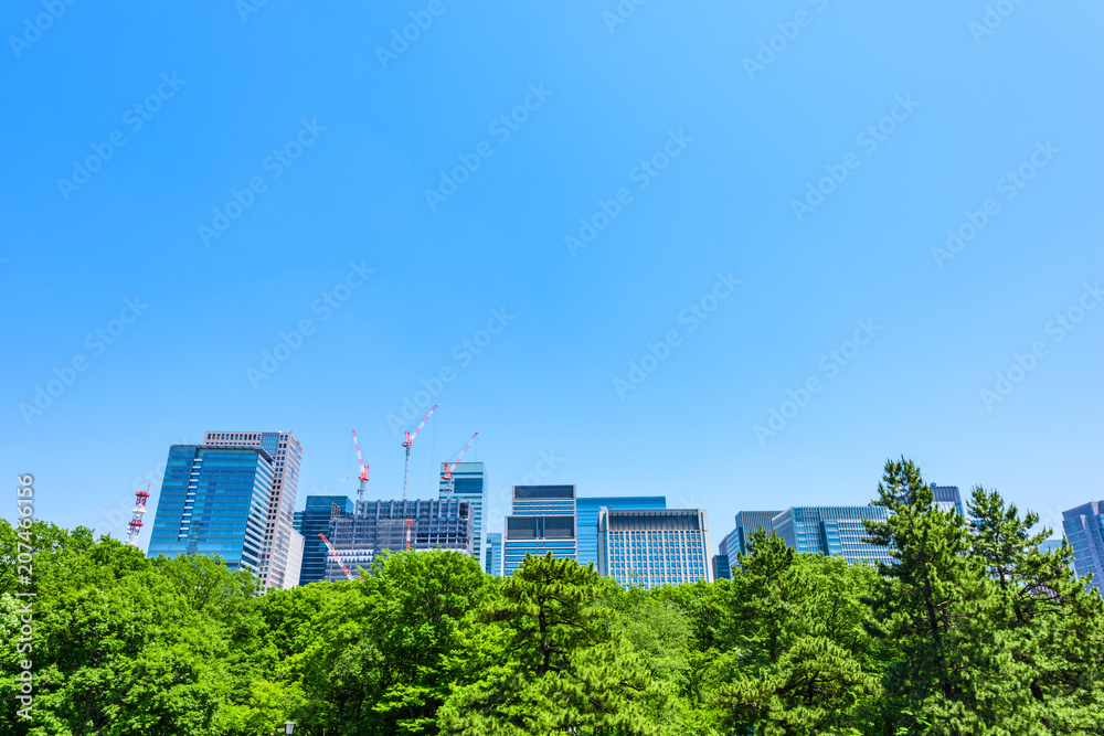 初夏の高層ビル群　Tokyo city landscape and fresh green in Otemachi Marunouchi.