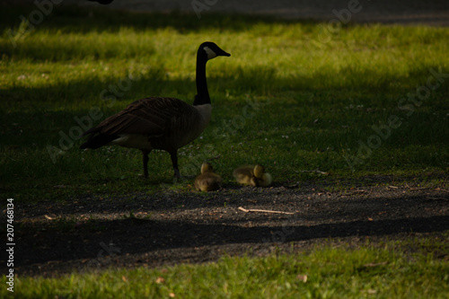 spring is here photo