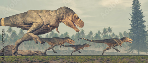 Fototapeta Naklejka Na Ścianę i Meble -  Family of dinosaurs - tyrannosaurus rex.