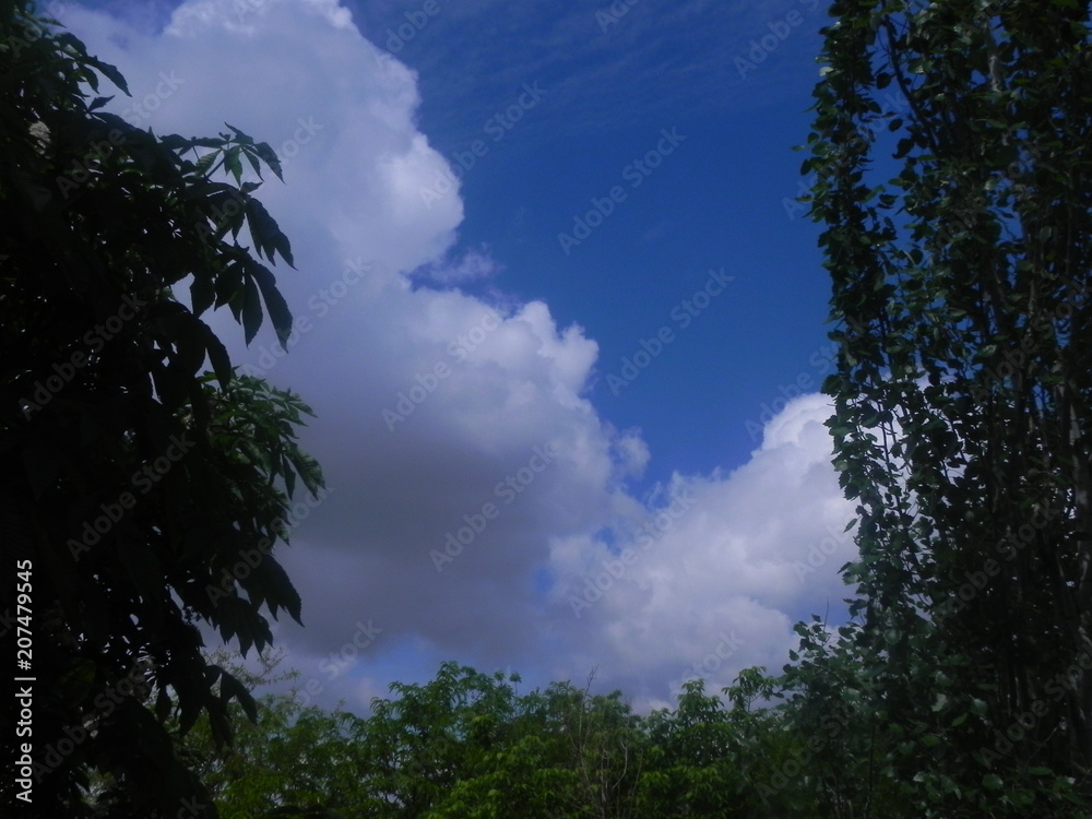 Obraz premium Облака в обычный солнечный день