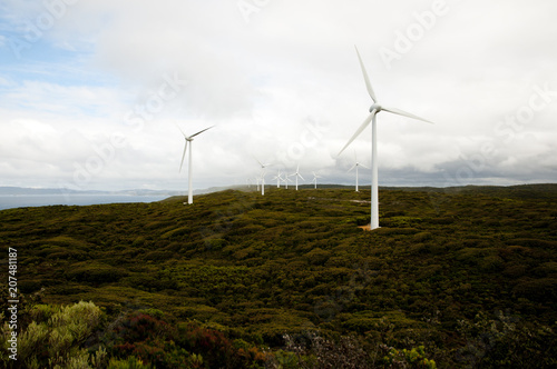 Wallpaper Mural Albany Wind Farm - Australia Torontodigital.ca