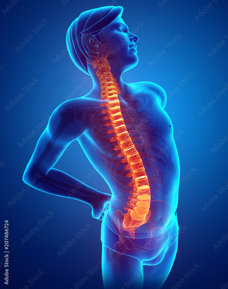 Male Feeling the back pain Male Feeling the back pain