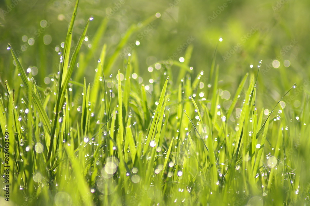 Obraz premium SAMSUNG CSC