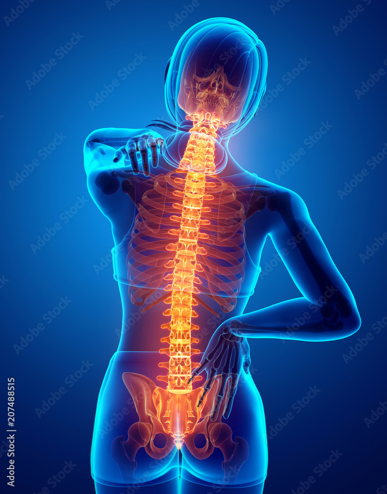 Women Feeling the Back pain Women Feeling the Back pain