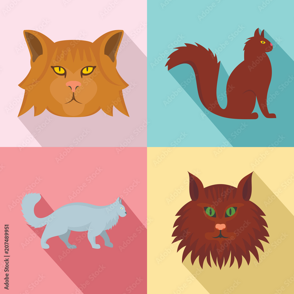 Maine coon cat profile icons set. Flat illustration of 4 maine coon cat profile vector icons for web