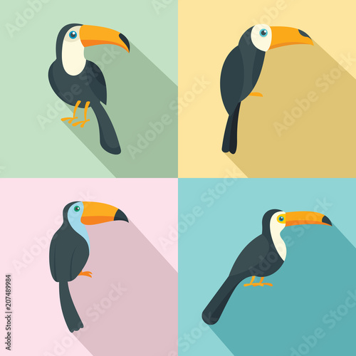 Toucan parrot bird icons set. Flat illustration of 4 toucan parrot bird vector icons for web