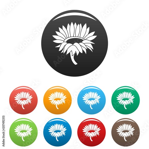 Blossoming sunflower icon. Simple illustration of blossoming sunflower vector icons set color isolated on white