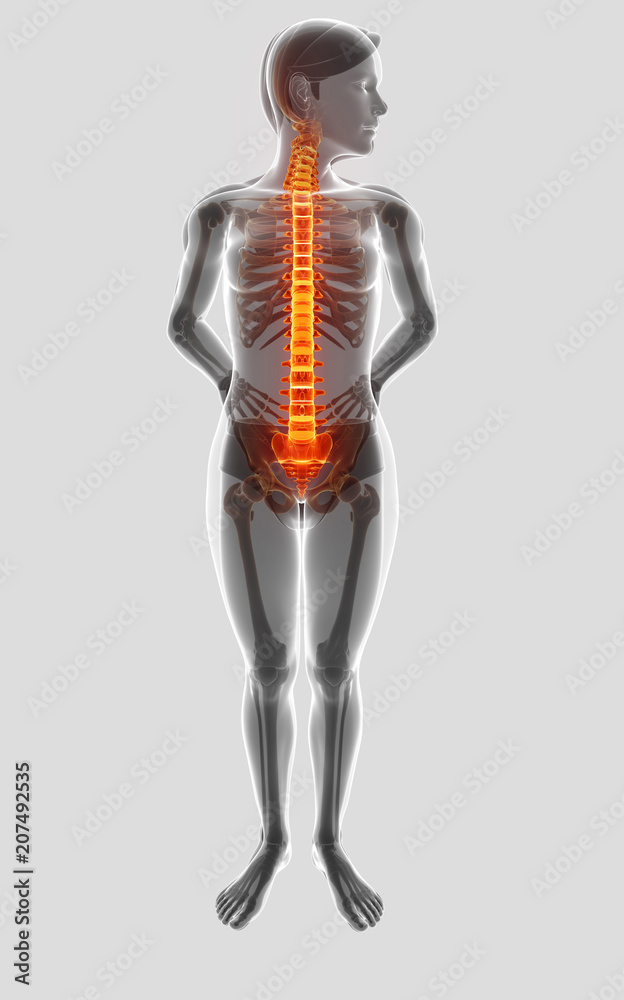 3D Illustration of male Feeling the back pain