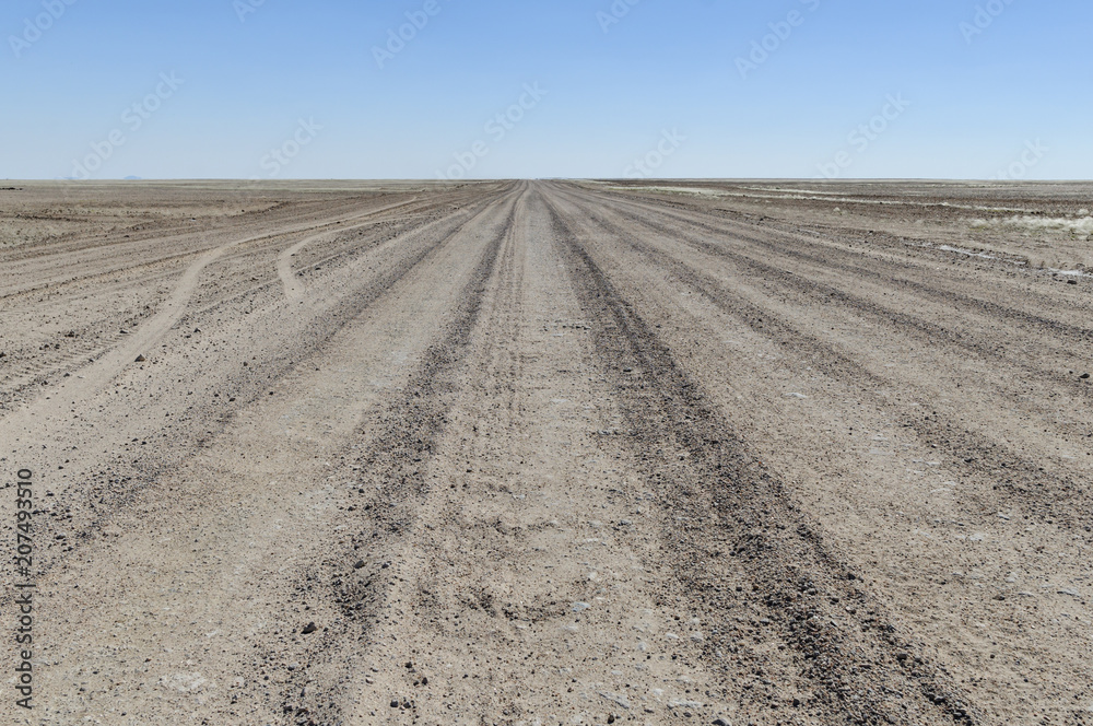 Landscape with a straight road / Landscape with straight road to the horizon and oncoming traffic, Namibia, Africa.