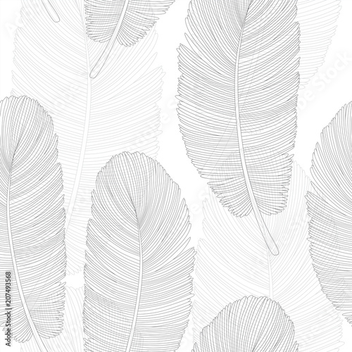 Grayscale Overlapping Feathers Pattern