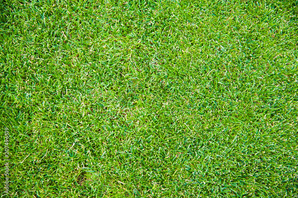 Obraz premium Outdoor stadium with green grass