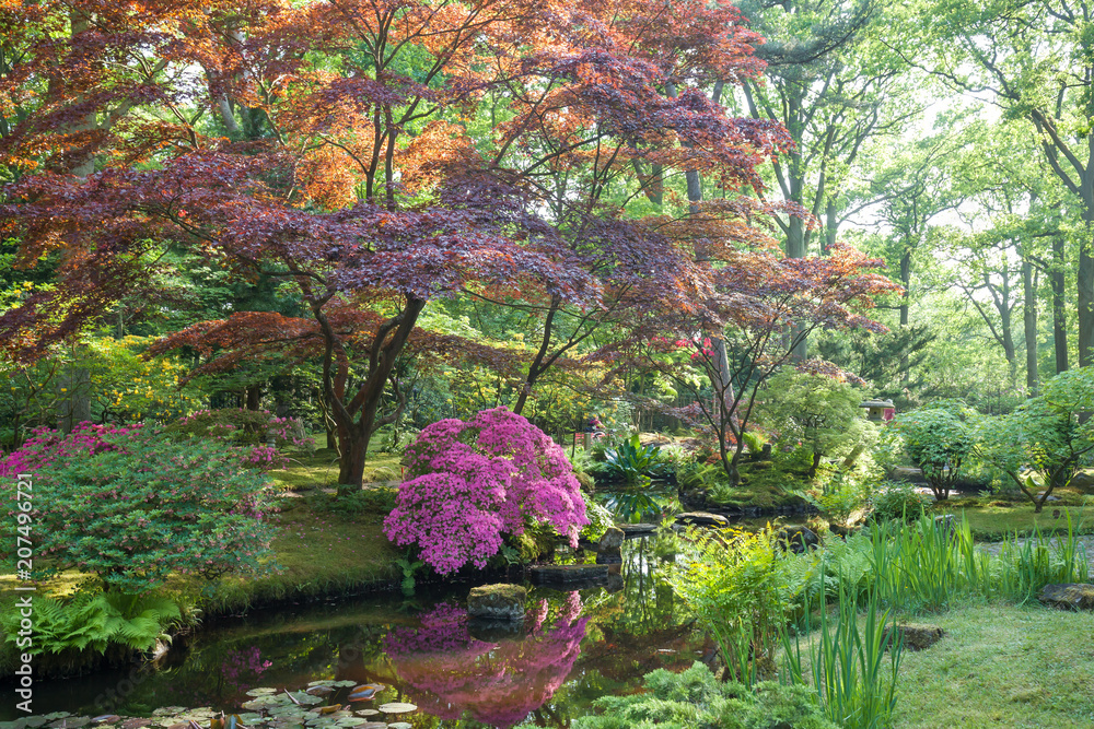 Japanese garden (Clingendaen) is spectacular public park in The Hague city