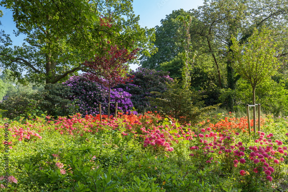 Obraz premium Public park in The Hague is surrounded by beautiful colorful flowers. It's great place for hiking.