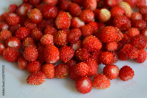 wild strawberry in a plate