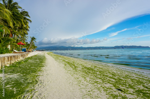 Boracay, Philippines - Tropical beach with seaweeds in the sand