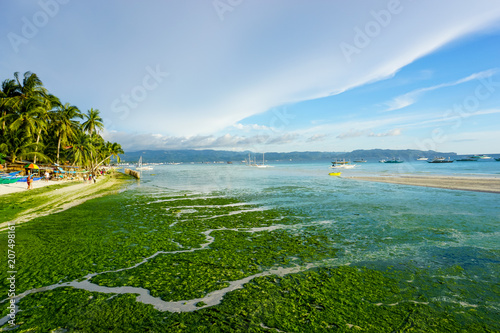 Beautiful beach with green algae in the water. Colorful seascape. Boracay, Philippines