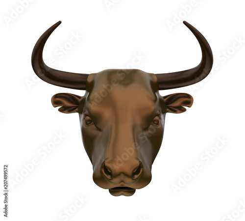 Bull Head Isolated