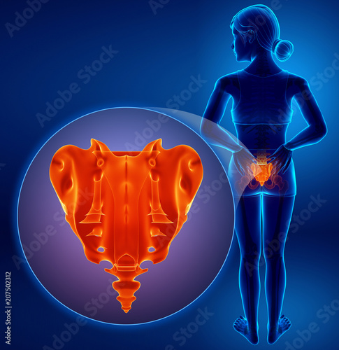 3d illustration of sacrum bone pain