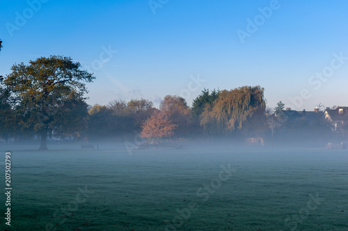 Mist in the park