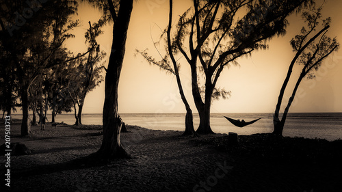 Paradis perdu à l'ile de la Réunion