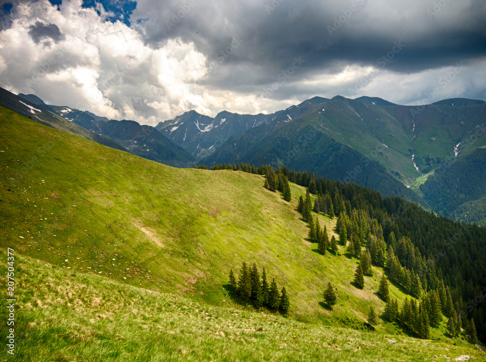 spectacular mountain landscape with clouds hovering above mountain slopes filled with bushes of rhododendron kotschyi in fagaras mountains romania in early summer