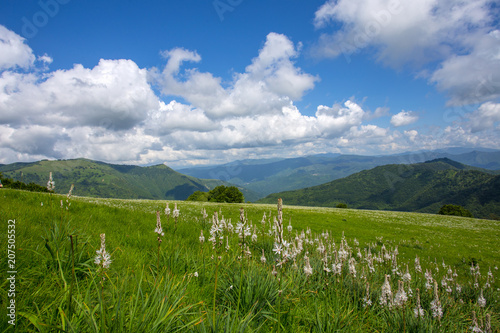 Fototapeta Naklejka Na Ścianę i Meble -  Meadow expanses with asphodels and narcissus flowers under a blue sky with clouds.