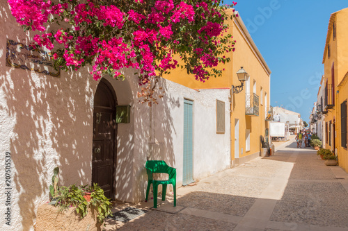 A stone street, colorful buildings and pink flowers on the sides. A summer, holiday day on the island of Tabarca in Spain.